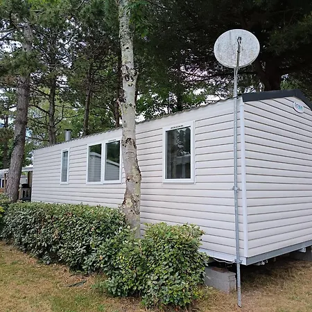 Mh F52 Bois Masson * Saint-Jean-de-Monts