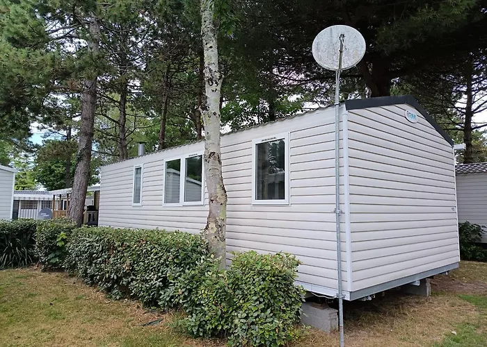 Mh F52 Bois Masson * Saint-Jean-de-Monts