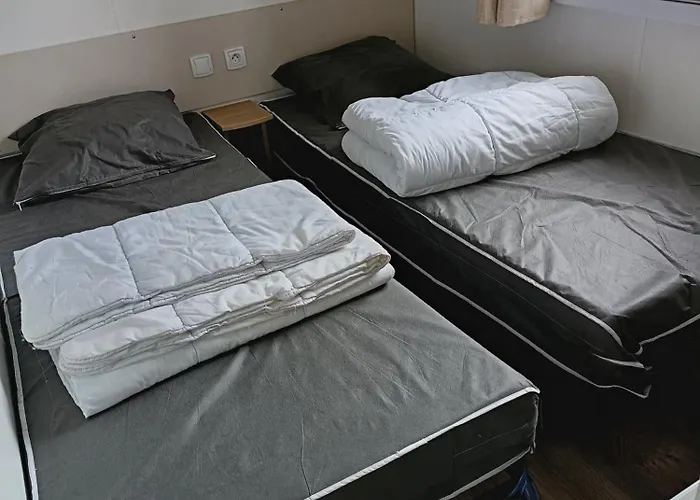 Mh F52 Bois Masson Camping