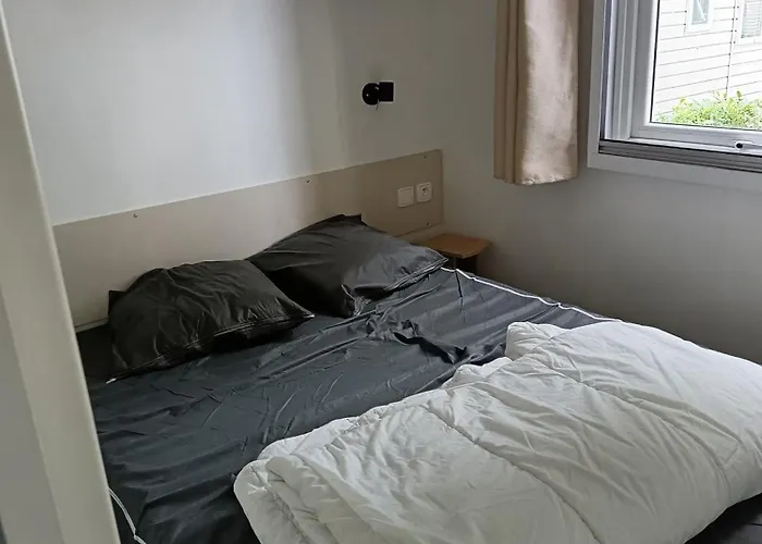 Mh F52 Bois Masson Saint-Jean-de-Monts